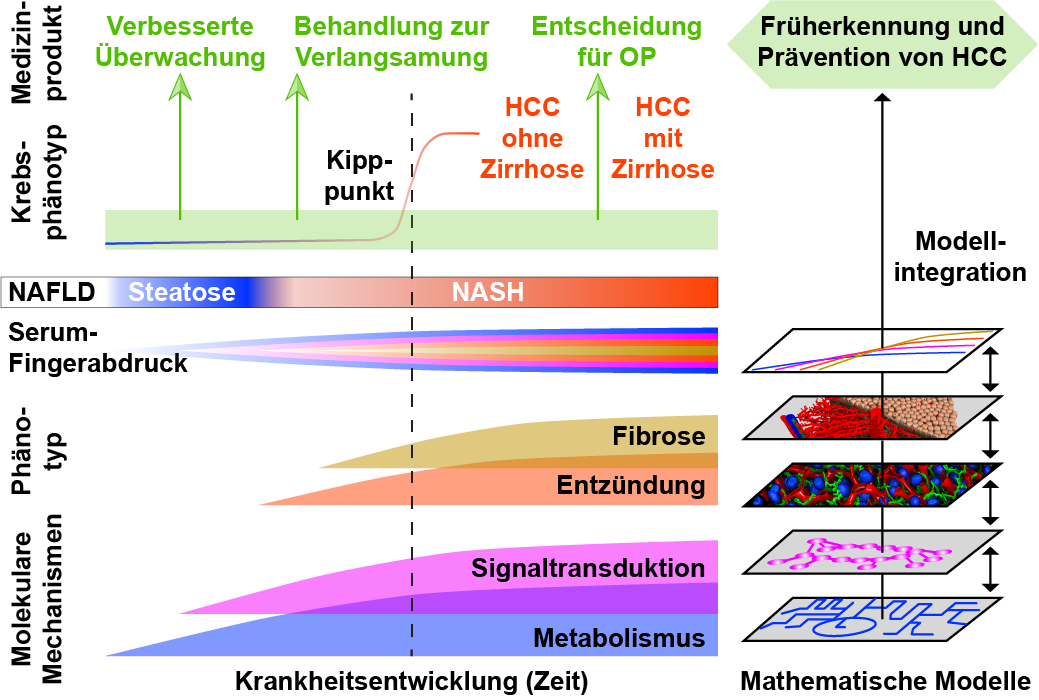 Wissenschaftliches Konzept