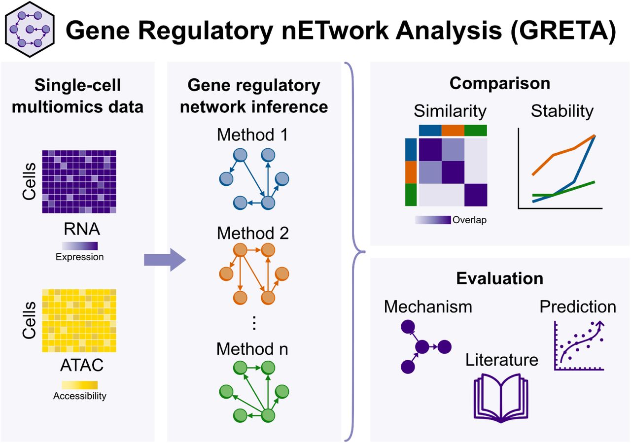 Graphical Abstract